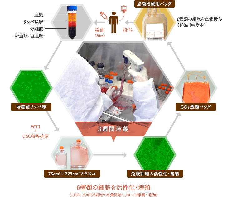 図:6種類の細胞を活性化・増殖