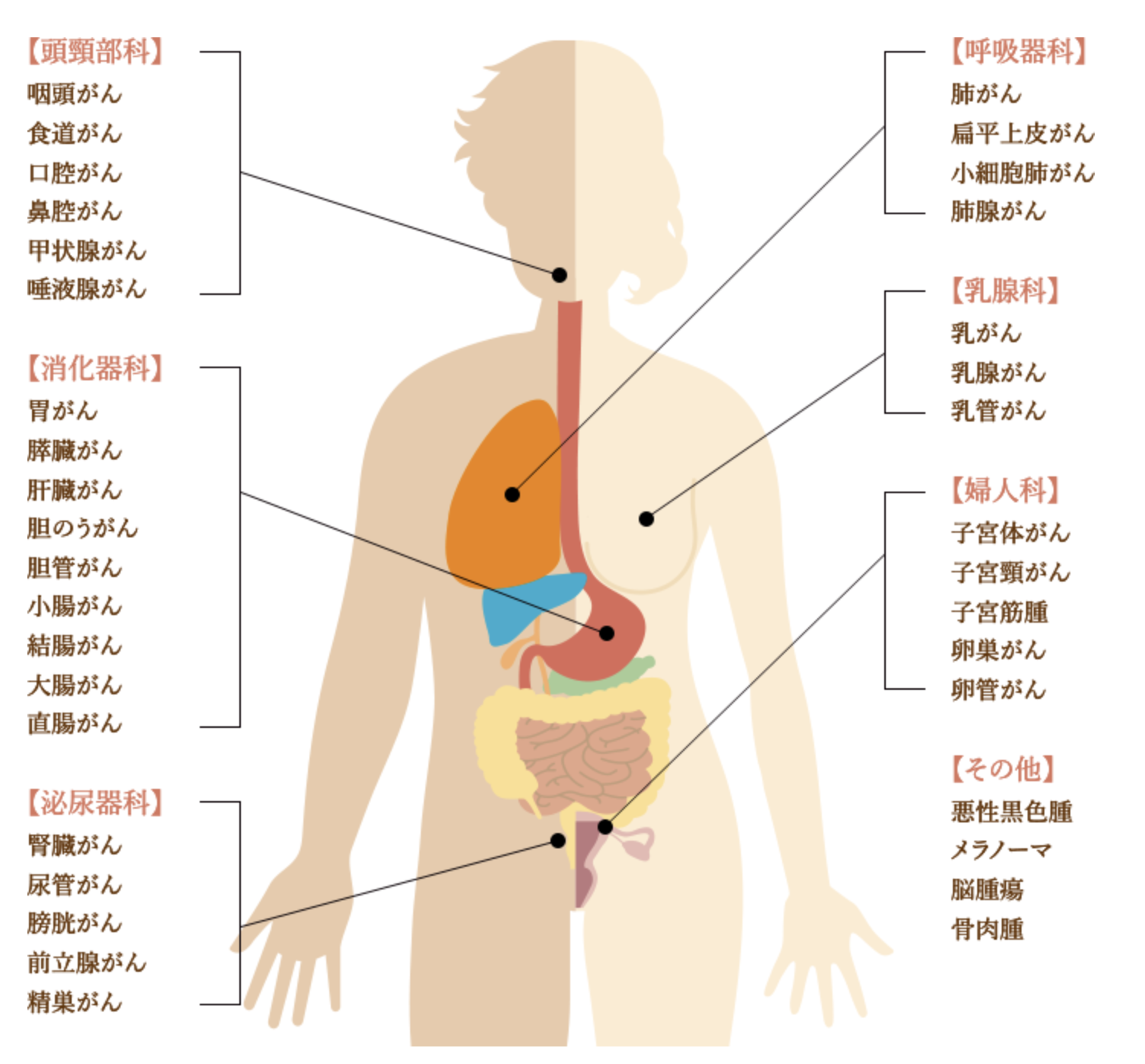 6種複合免疫療法・がんの部位