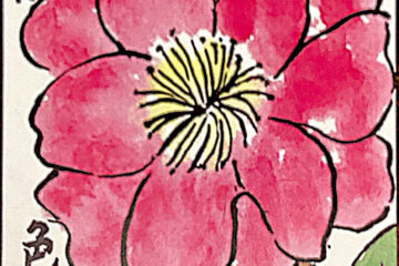 「ある日の患者さま」記事内の画像