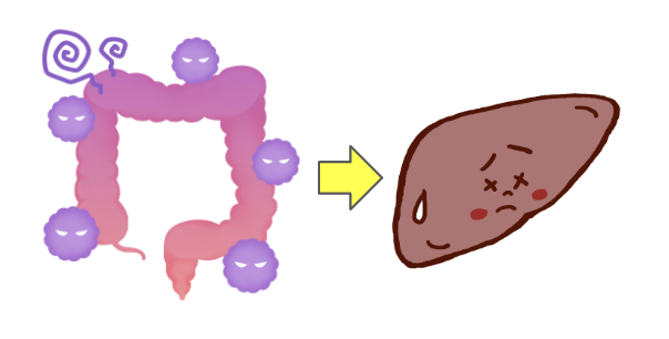 大腸がんから肝転移