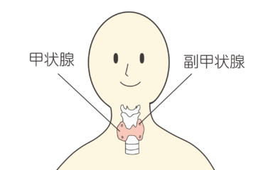 「甲状腺がんのステージ4とは？　症状と治療法について解説」記事内の画像