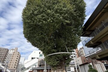 「肌寒くなってきました」記事内の画像