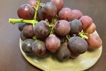 「ある日の患者さま」記事内の画像