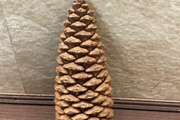 「ある日の患者さま」記事内の画像