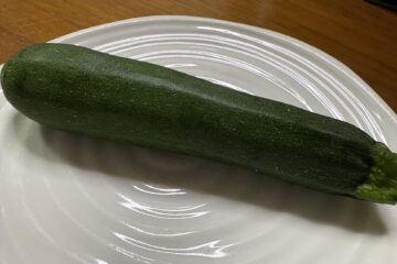 「ある日の患者さま」記事内の画像