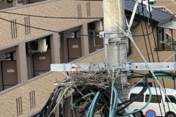 「ある日のスタッフ」記事内の画像